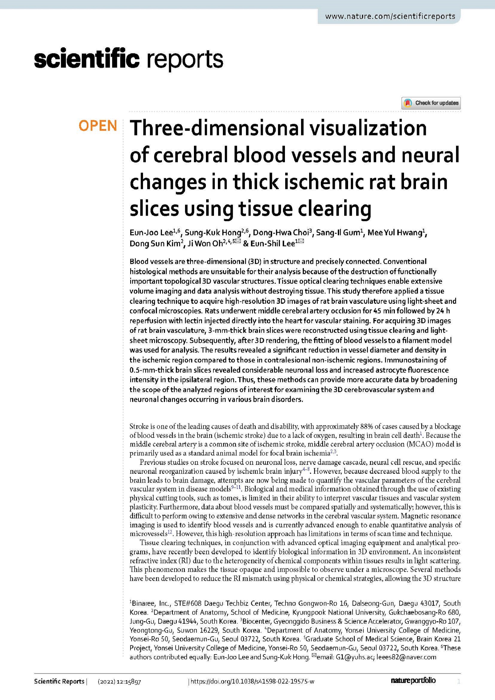 Three-dimensional visualization slices using tissue clearing 1