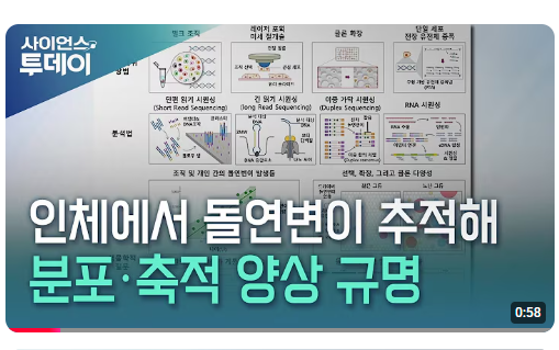 화면 캡처 2026-02-05 120017